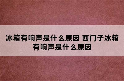 冰箱有响声是什么原因 西门子冰箱有响声是什么原因